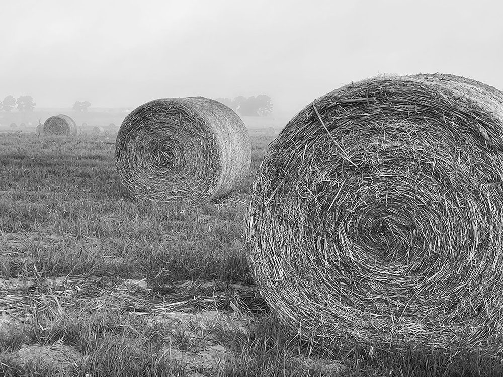 12 Acres Creative | Marketing Services. This high-contrast, black and white photo shows three bales of hay in angular line in a large field.  